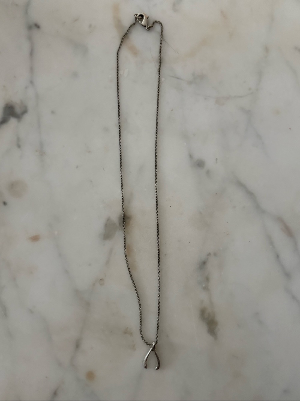 Sterling Tone Wishbone Pendant Necklace - Silver